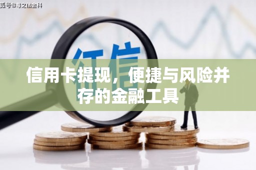 文山信用卡提现，便捷与风险并存的金融工具