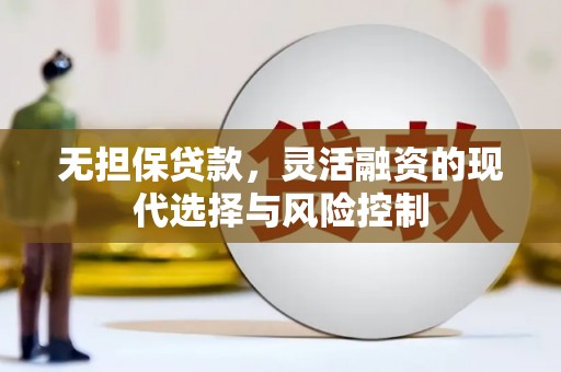 文山无担保贷款，灵活融资的现代选择与风险控制