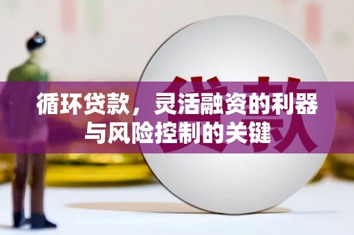 文山循环贷款，灵活融资的利器与风险控制的关键