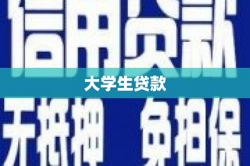 文山大学生贷款