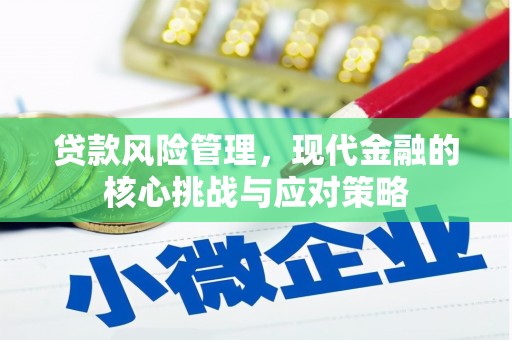 文山贷款风险管理，现代金融的核心挑战与应对策略