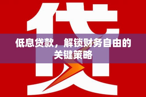 文山低息贷款，解锁财务自由的关键策略