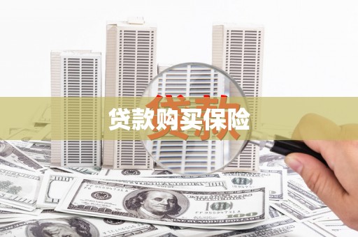 文山贷款购买保险