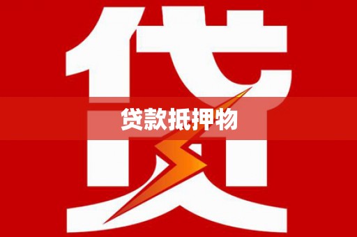文山贷款抵押物