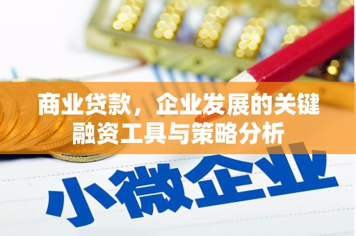 文山商业贷款，企业发展的关键融资工具与策略分析