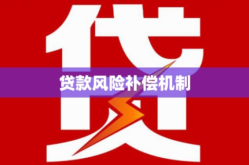 文山贷款风险补偿机制