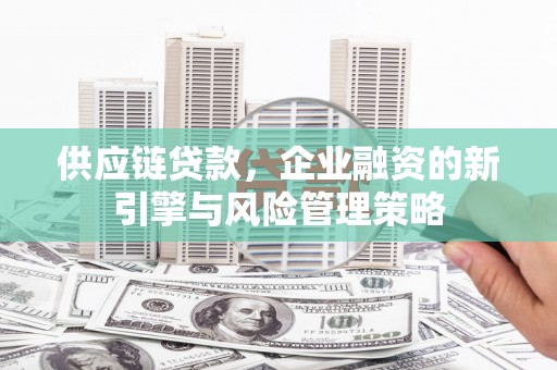 文山供应链贷款，企业融资的新引擎与风险管理策略