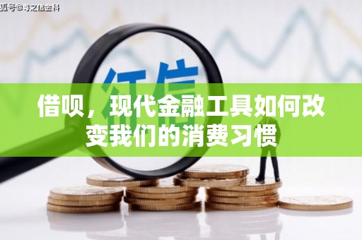 文山借呗，现代金融工具如何改变我们的消费习惯