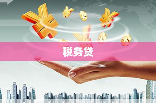 文山税务贷