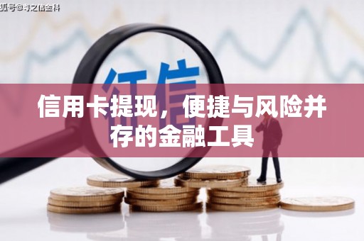 文山信用卡提现，便捷与风险并存的金融工具