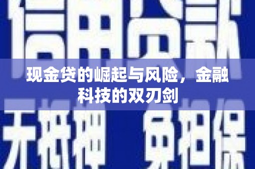 文山现金贷的崛起与风险，金融科技的双刃剑