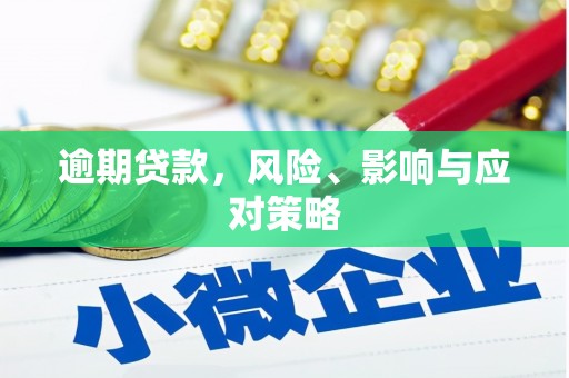 文山逾期贷款，风险、影响与应对策略