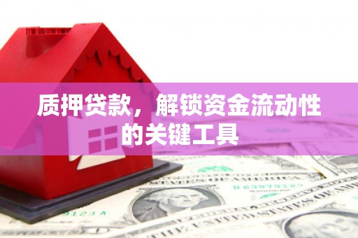 文山质押贷款，解锁资金流动性的关键工具