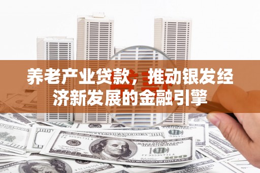 文山养老产业贷款，推动银发经济新发展的金融引擎