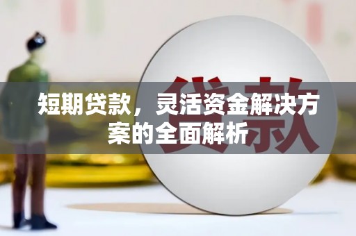 文山短期贷款，灵活资金解决方案的全面解析
