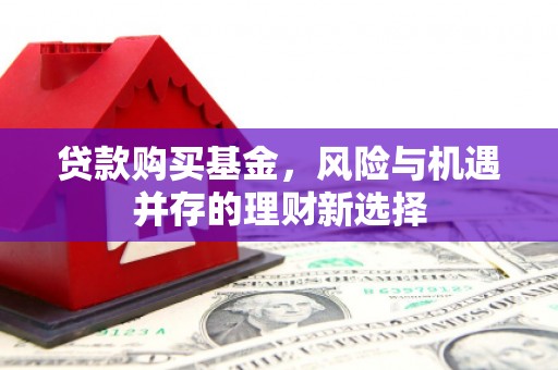 文山贷款购买基金，风险与机遇并存的理财新选择