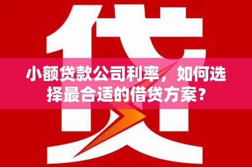 文山小额贷款公司利率，如何选择最合适的借贷方案？