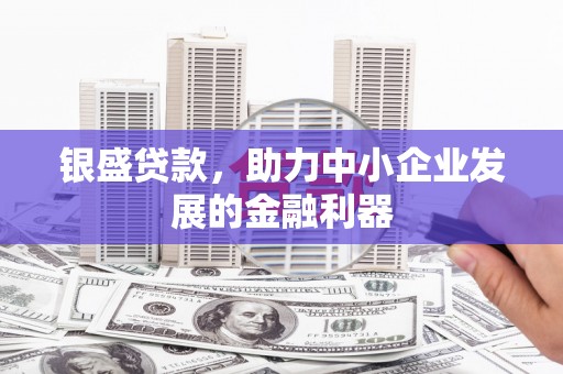 文山银盛贷款，助力中小企业发展的金融利器