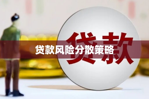 文山贷款风险分散策略