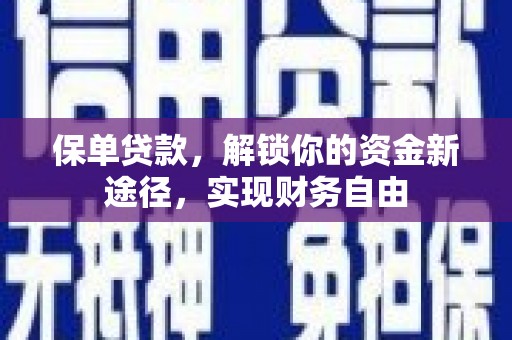 文山保单贷款，解锁你的资金新途径，实现财务自由