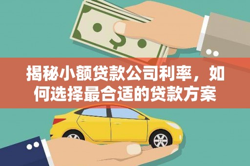 文山揭秘小额贷款公司利率，如何选择最合适的贷款方案