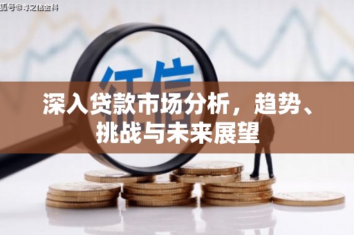文山深入贷款市场分析，趋势、挑战与未来展望