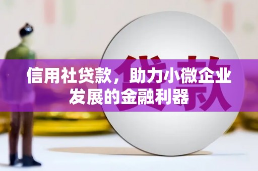 文山信用社贷款，助力小微企业发展的金融利器