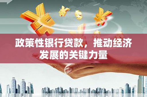 文山政策性银行贷款，推动经济发展的关键力量