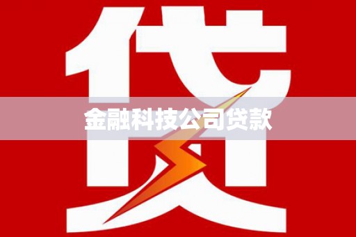 文山金融科技公司贷款