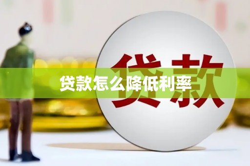 文山贷款怎么降低利率
