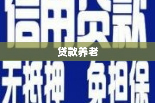 文山贷款养老