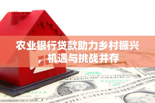 文山农业银行贷款助力乡村振兴，机遇与挑战并存
