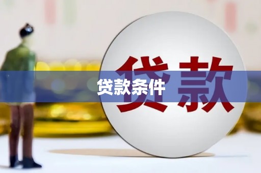文山贷款条件