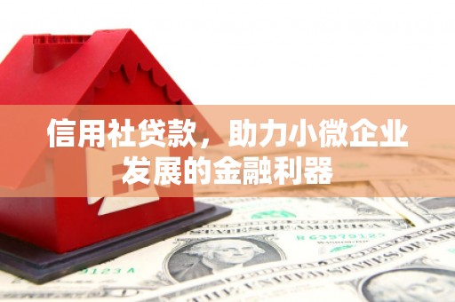 文山信用社贷款，助力小微企业发展的金融利器
