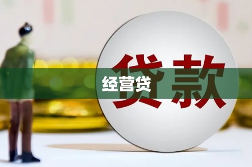 文山经营贷