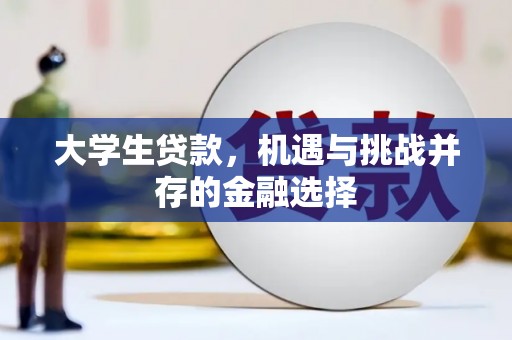 文山大学生贷款，机遇与挑战并存的金融选择