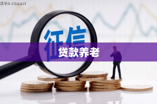 文山贷款养老
