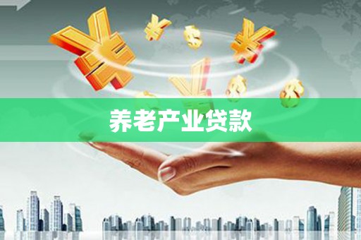 文山养老产业贷款