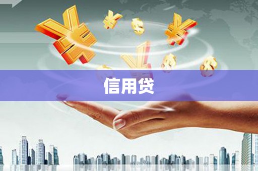 文山信用贷
