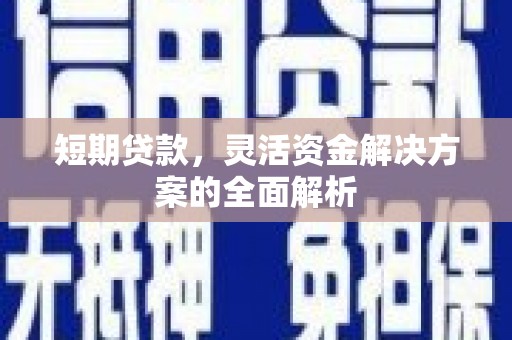 文山短期贷款，灵活资金解决方案的全面解析