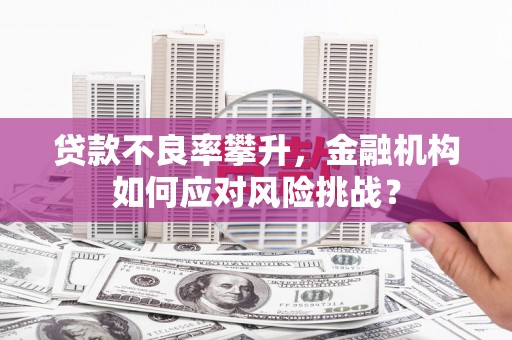 文山贷款不良率攀升，金融机构如何应对风险挑战？