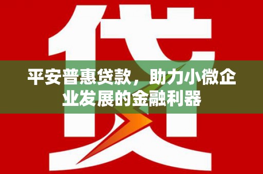 文山平安普惠贷款，助力小微企业发展的金融利器