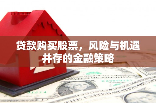 文山贷款购买股票，风险与机遇并存的金融策略