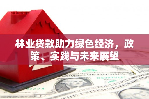 文山林业贷款助力绿色经济，政策、实践与未来展望