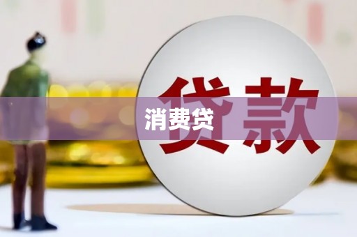 文山消费贷