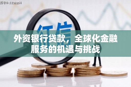 文山外资银行贷款，全球化金融服务的机遇与挑战