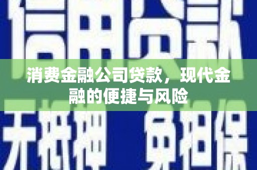 文山消费金融公司贷款，现代金融的便捷与风险