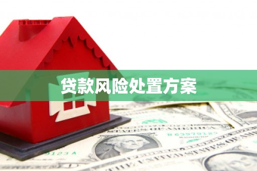 文山贷款风险处置方案