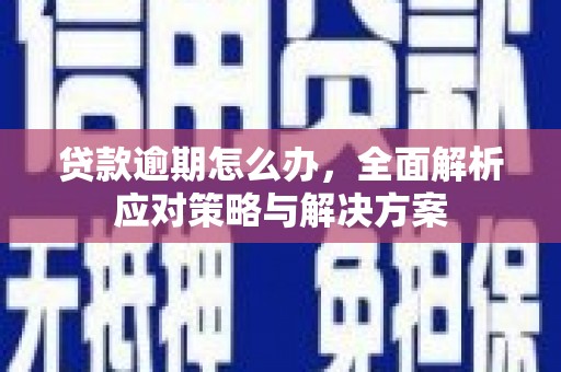 文山贷款逾期怎么办，全面解析应对策略与解决方案