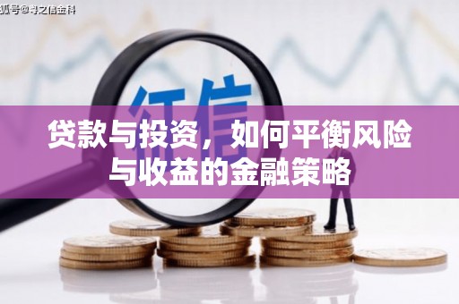 文山贷款与投资，如何平衡风险与收益的金融策略
